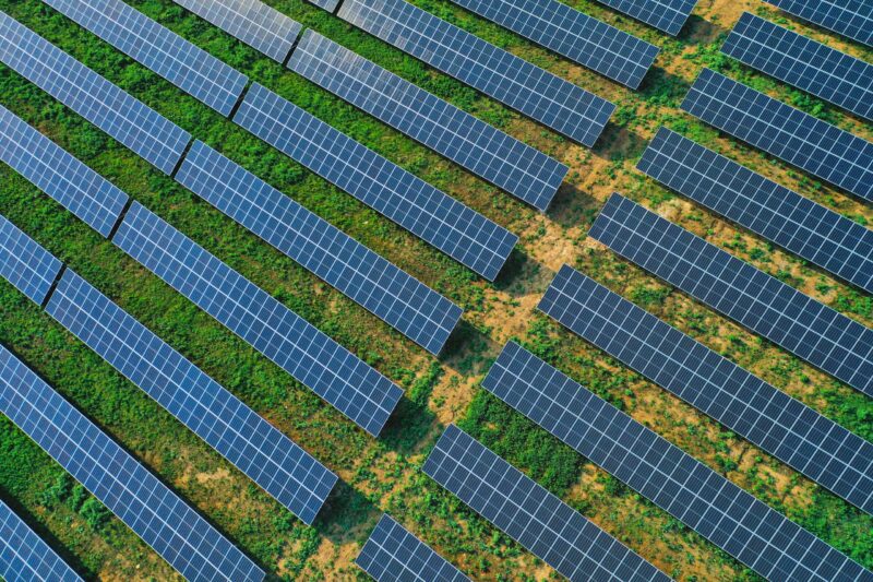 Aerial view of numerous solar panels arranged in rows over grassy terrain, capturing sunlight for energy production—a testament to sustainability and environmental accomplishments.