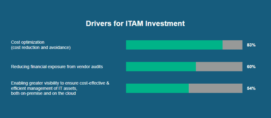 ITAM Investment drivers chart with percentages for cost optimization and visibility