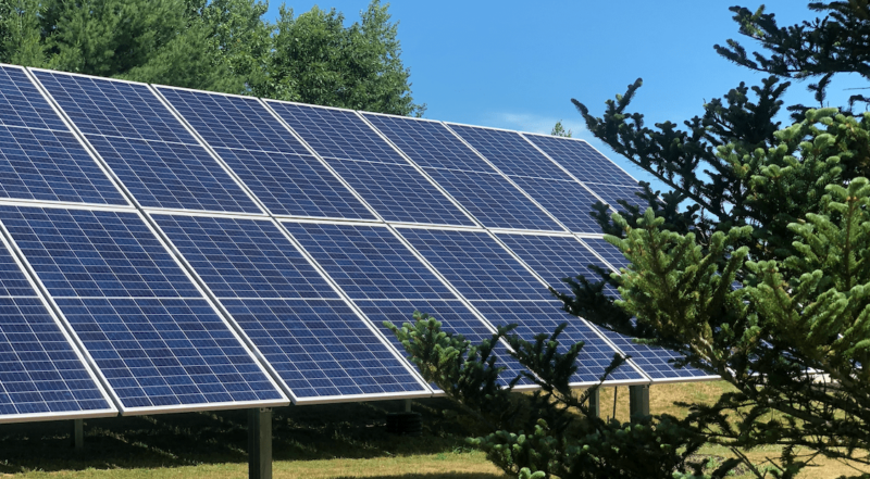 A row of solar panels under a clear blue sky, surrounded by grass and trees, showcases the beauty of renewable energy.