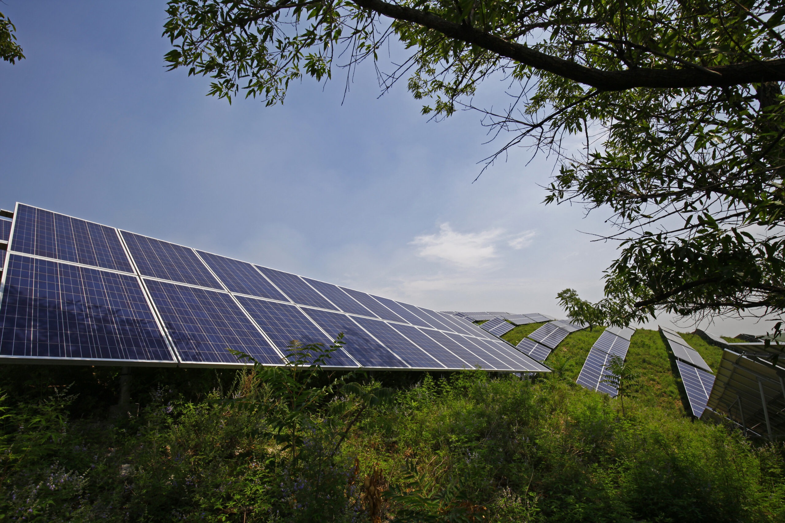 Solar panels arranged on a grassy hillside under a clear blue sky, with tree branches partially framing the scene, reflect the sustainable initiatives outlined in our 2022 ESG Report.