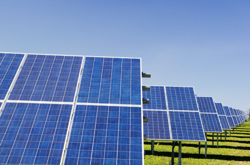 Rows of solar panels on a grassy field under a clear blue sky showcase a strong business case for sustainability.